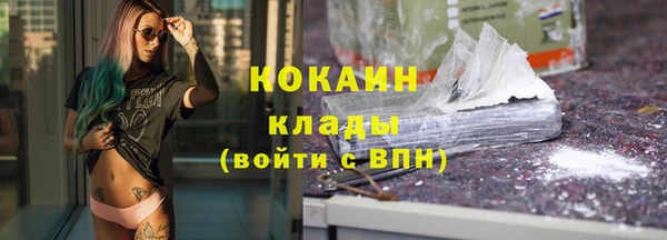 твердый Няндома