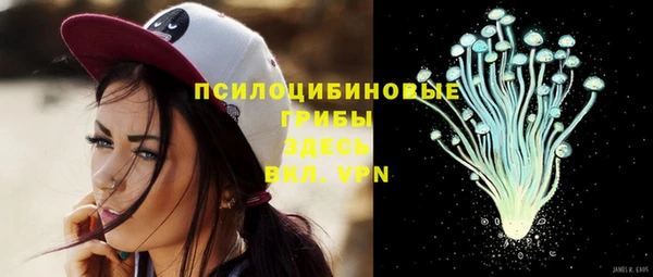 прущие крисы Нязепетровск