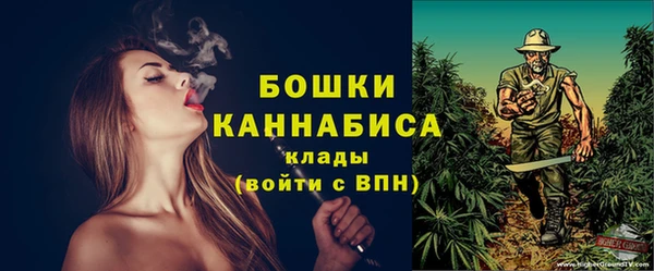 твердый Няндома