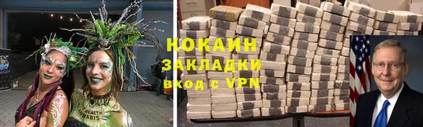 твердый Няндома